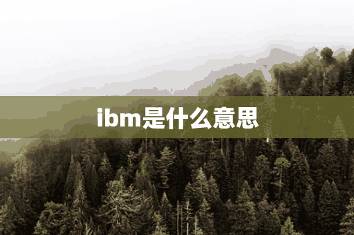 ibm是什么意思